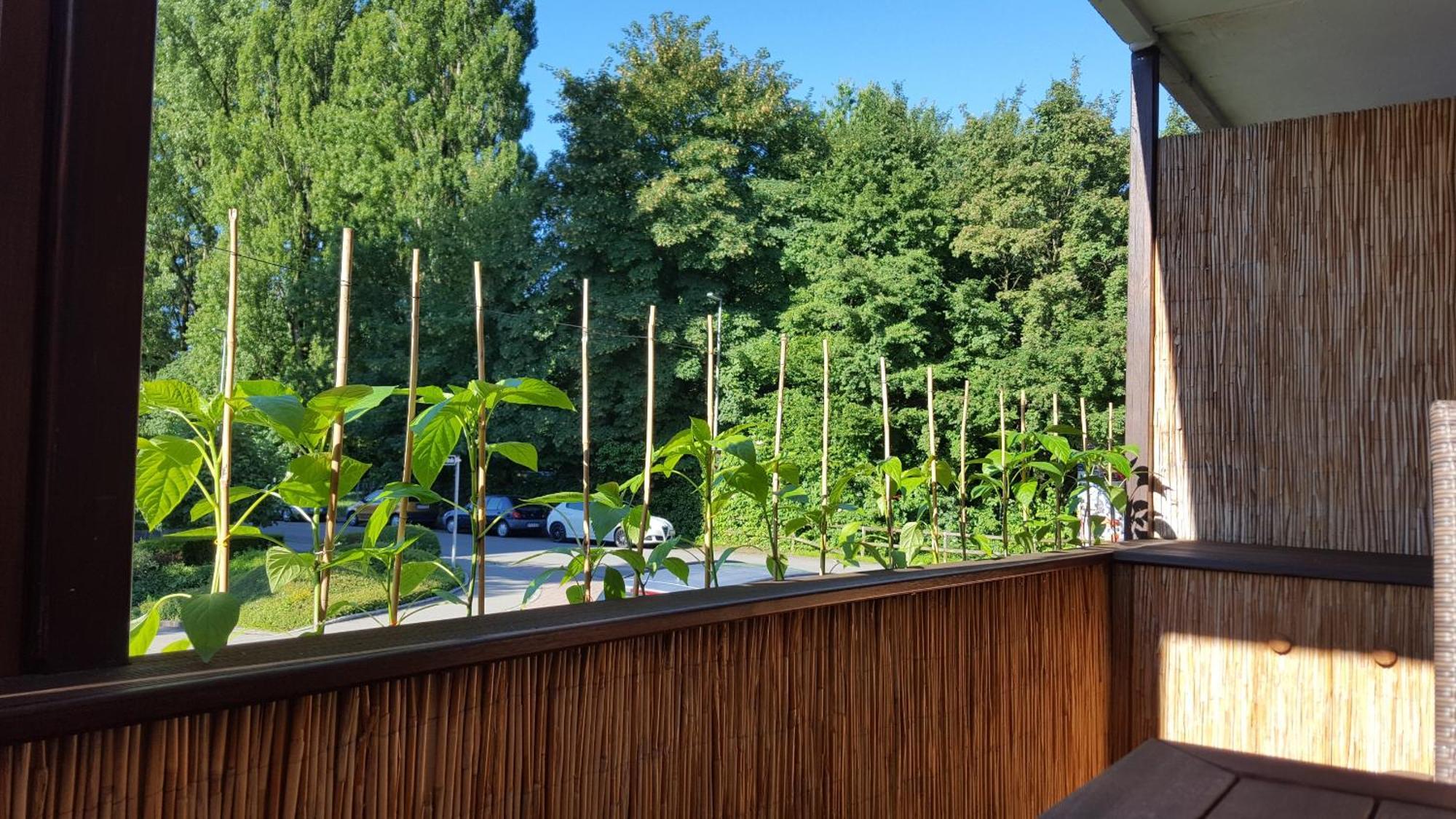 Apartment #1 Hochparterre Friedrichshafen